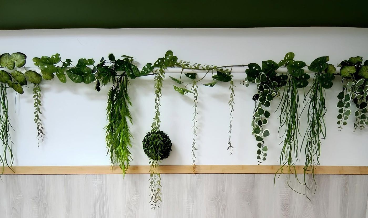 Mur de la salle décoré de plantes suspendues